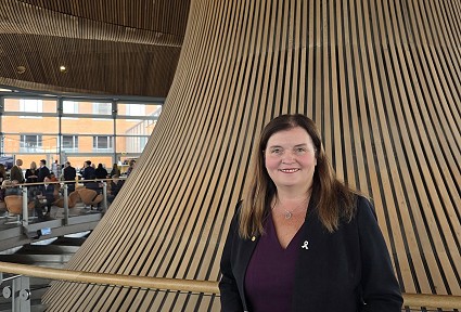 Mae Sioned yn sefyll y tu mewn i adeilad y Senedd ym Mae Caerdydd, yn dal llyfryn rhaglen ac yn sefyll o flaen strwythur pren crwm nodedig y Senedd. Mae balwstradau gwydr, nodweddion pensaernïol modern a phobl wedi ymgynnull yn y cefndir i'w gweld o fewn y tu mewn eang. Mae hi'n gwisgo siaced dywyll gyda phin rhuban ymwybyddiaeth gwyn a ffrog borffor.
