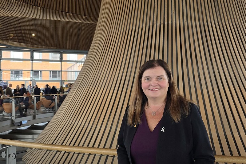 Mae Sioned yn sefyll y tu mewn i adeilad y Senedd ym Mae Caerdydd, yn dal llyfryn rhaglen ac yn sefyll o flaen strwythur pren crwm nodedig y Senedd. Mae balwstradau gwydr, nodweddion pensaernïol modern a phobl wedi ymgynnull yn y cefndir i'w gweld o fewn y tu mewn eang. Mae hi'n gwisgo siaced dywyll gyda phin rhuban ymwybyddiaeth gwyn a ffrog borffor.
