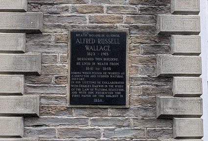 Plac y tu allan Sefydliad Mecaneg Castell-nedd - adeilad llwyd