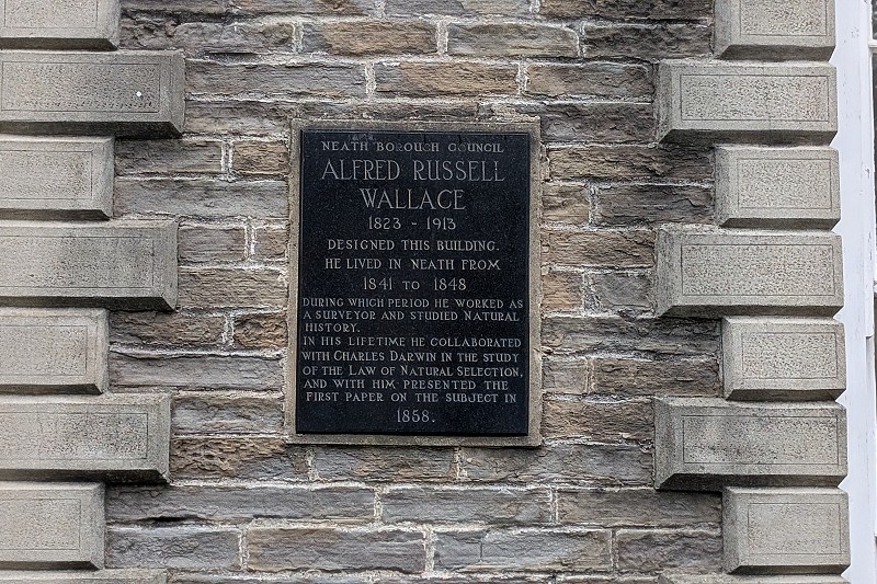 Plac y tu allan Sefydliad Mecaneg Castell-nedd - adeilad llwyd