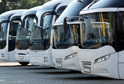 Row of white coach buses