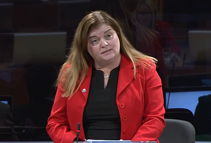 sioned williams speaking at a conference