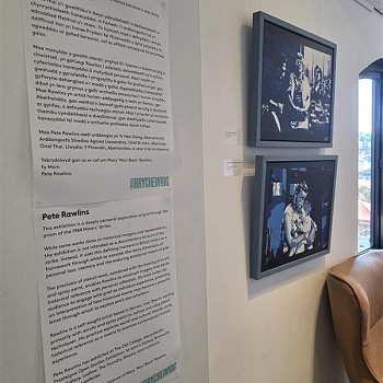 some pictures and a sign about the art