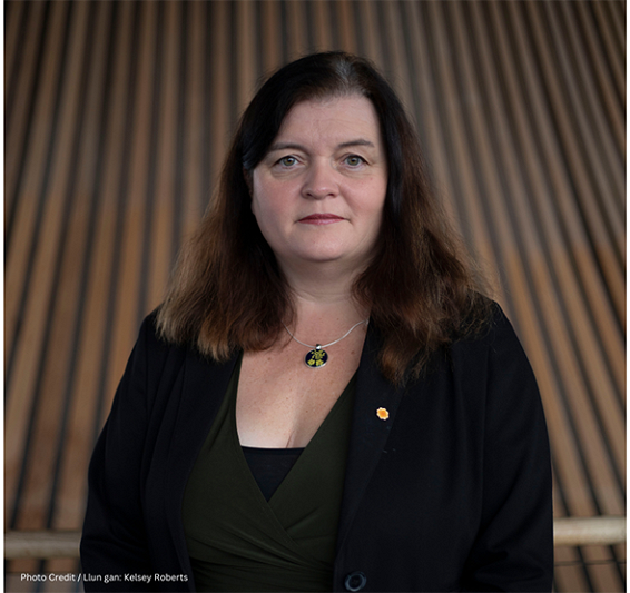 Mae’n rhaid i Ddefnyddio Cymraeg gymryd mwy o lefelau am faterion oedd yn dilyn yn “hysbys” o redeg gwasanaethau mamolaeth Bae Abertawe, medd yr AS lleol Sioned Williams