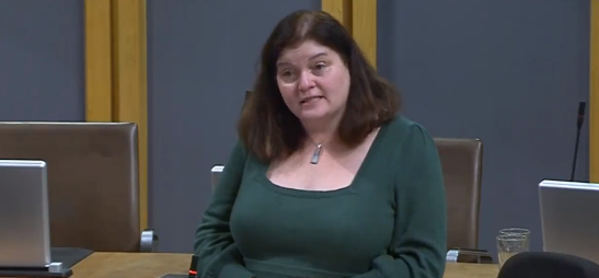 sioned williams yn y senedd