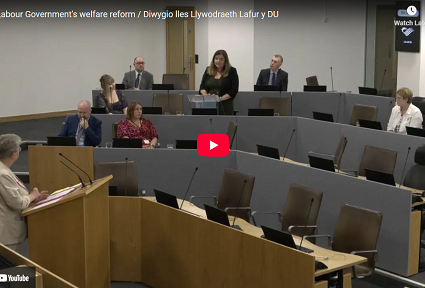 Llun YouTube o Sioned Williams yn y Senedd yn siarad i'r siaradwr y Senedd
