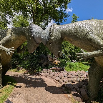 Two model dinosaurs headbutting